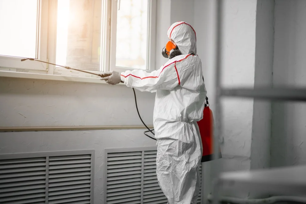 Professional mold remediation services in Ardmore, TN